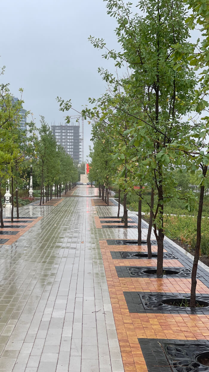 Приствольная решетка для дерева ZKING CRUST 1.2х1.2м Черная в Туймазах фото